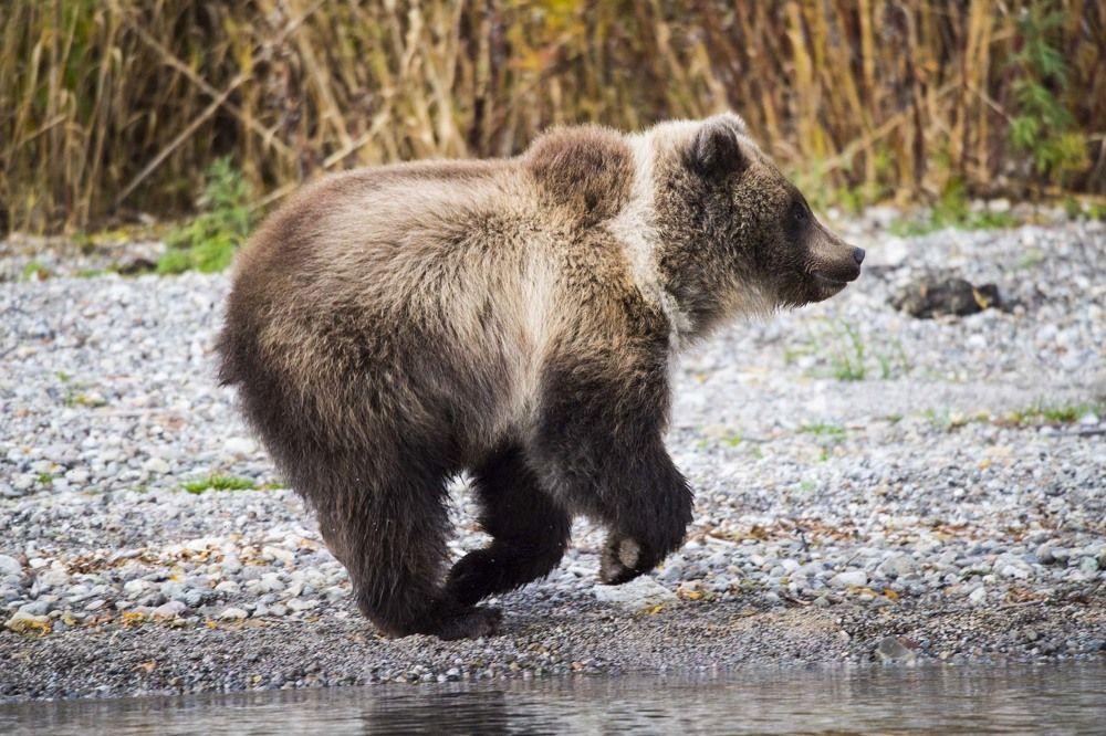 Photograph by Алексей Шаскольский