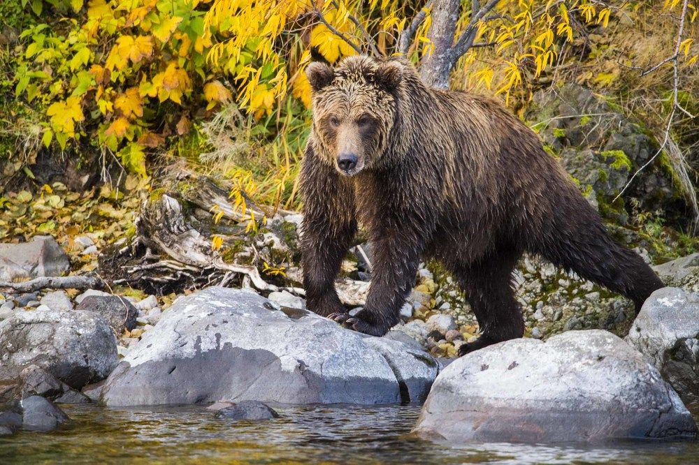 Photograph by Алексей Шаскольский