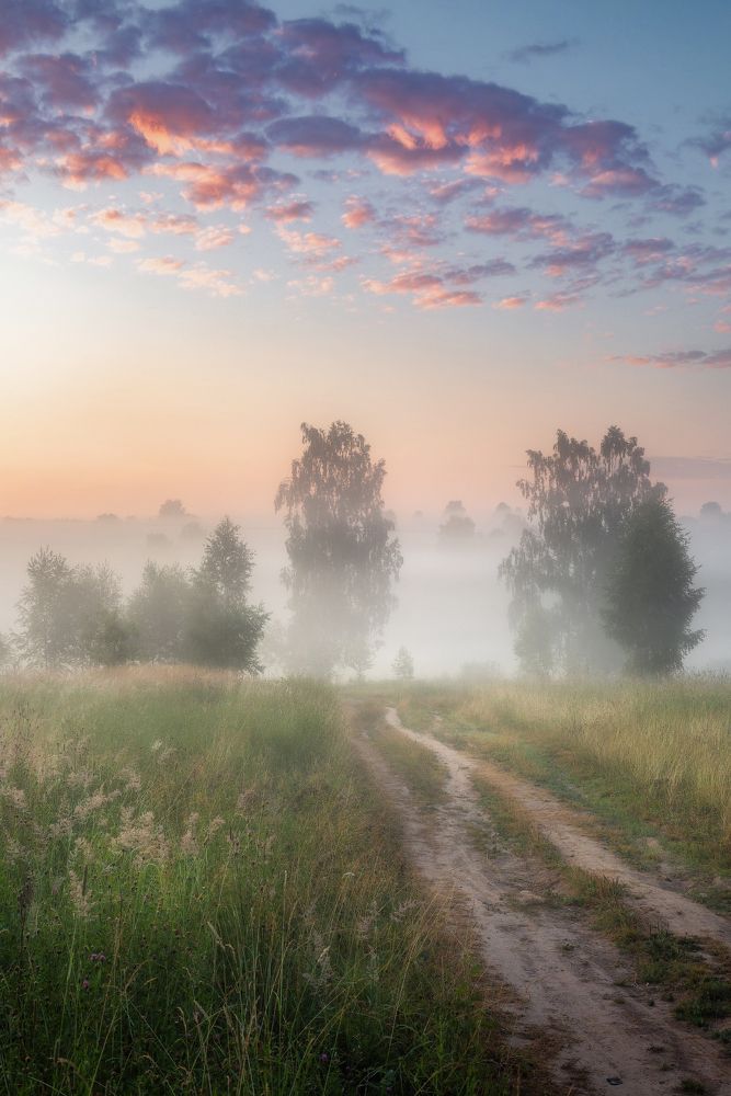 Фотография автора Евгений Ерохин