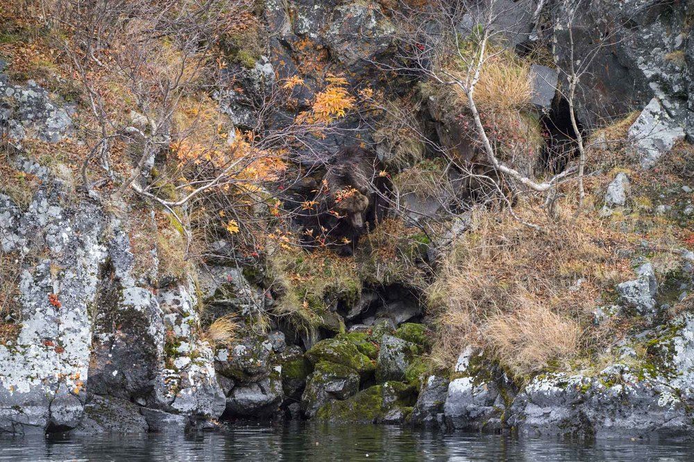 Photograph by Алексей Шаскольский