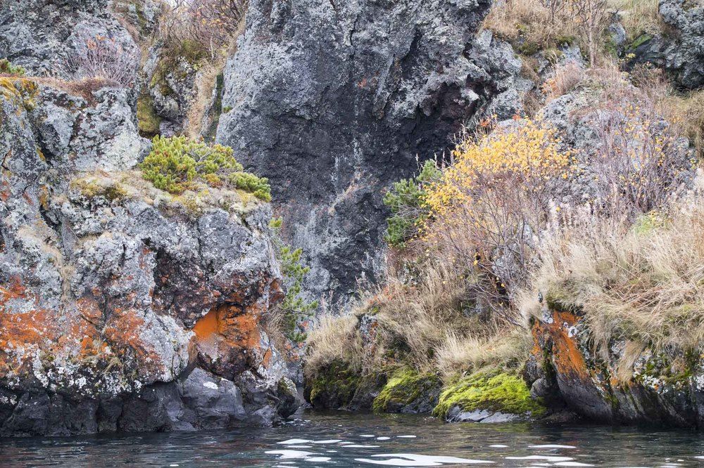 Photograph by Алексей Шаскольский