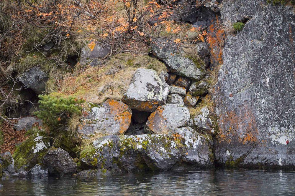 Photograph by Алексей Шаскольский