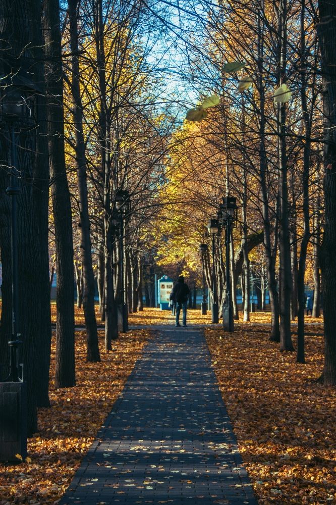 Photograph by Vladimir Zuev