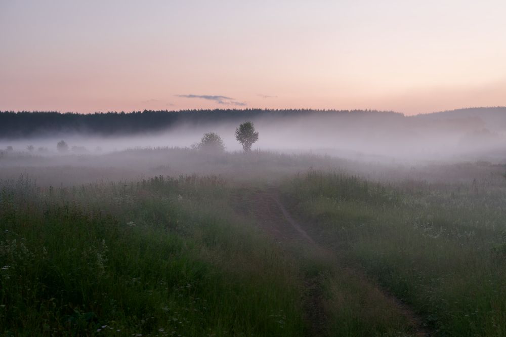 Photograph by Анна Майорова