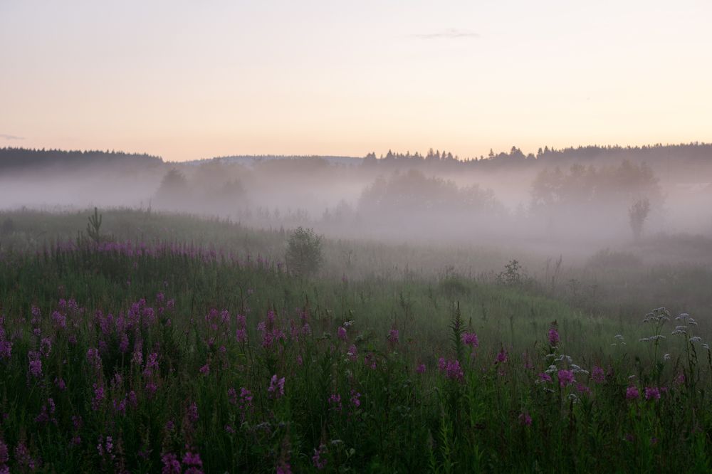 Photograph by Анна Майорова