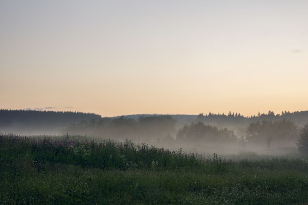 Photograph by Анна Майорова
