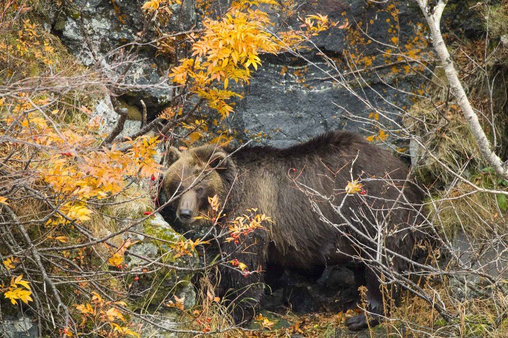 Photograph by Алексей Шаскольский