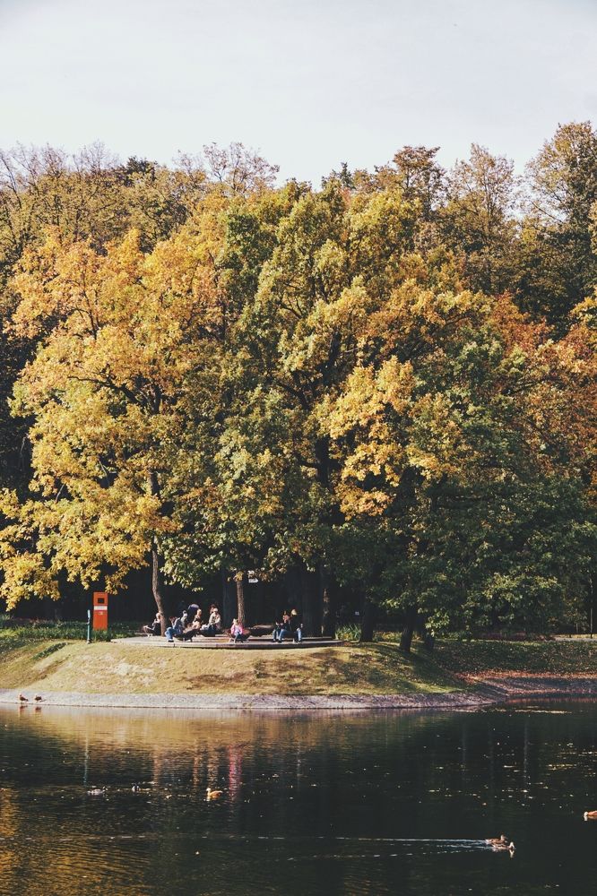 Photograph by Vladimir Zuev