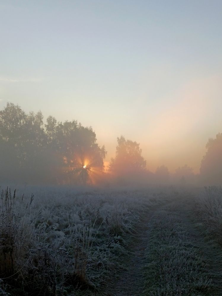 Photograph by Eлена Смирнова