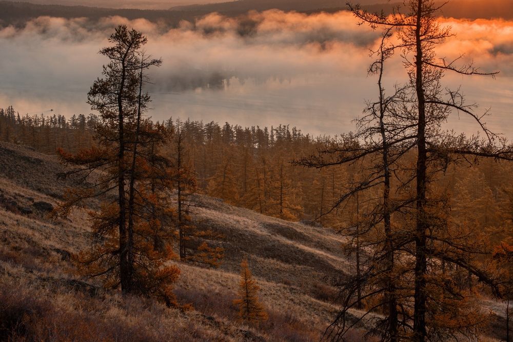 Photograph by Максим Ватрушкин