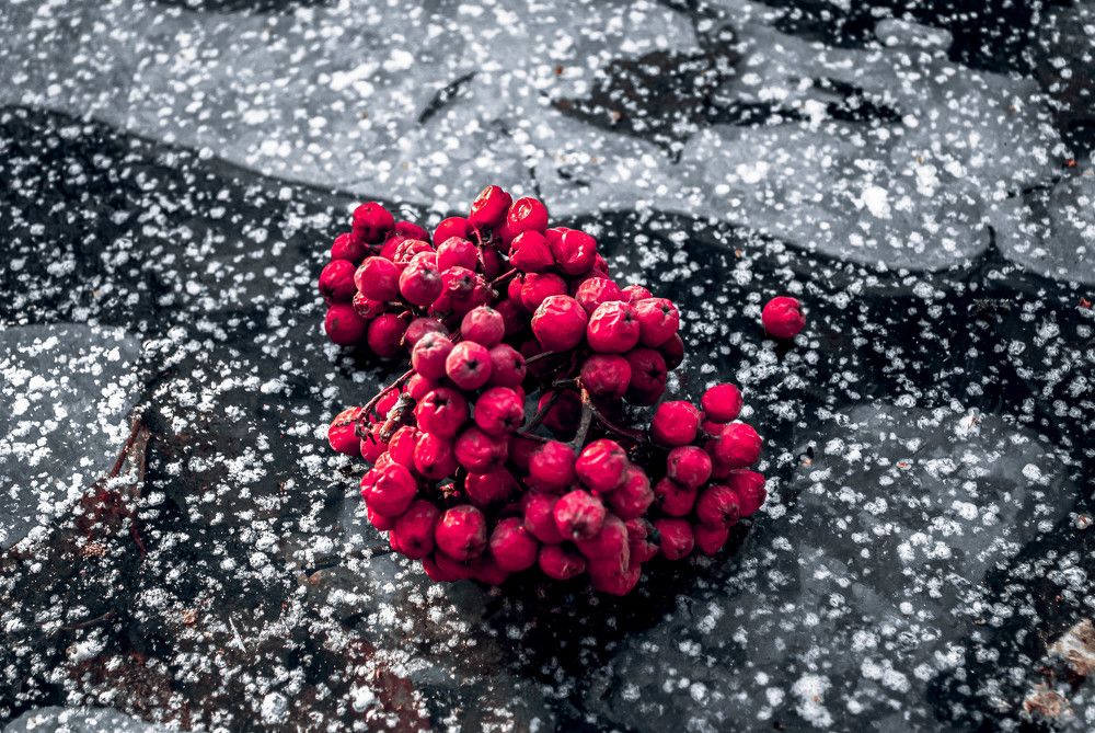 Photograph by Любовь Бусова