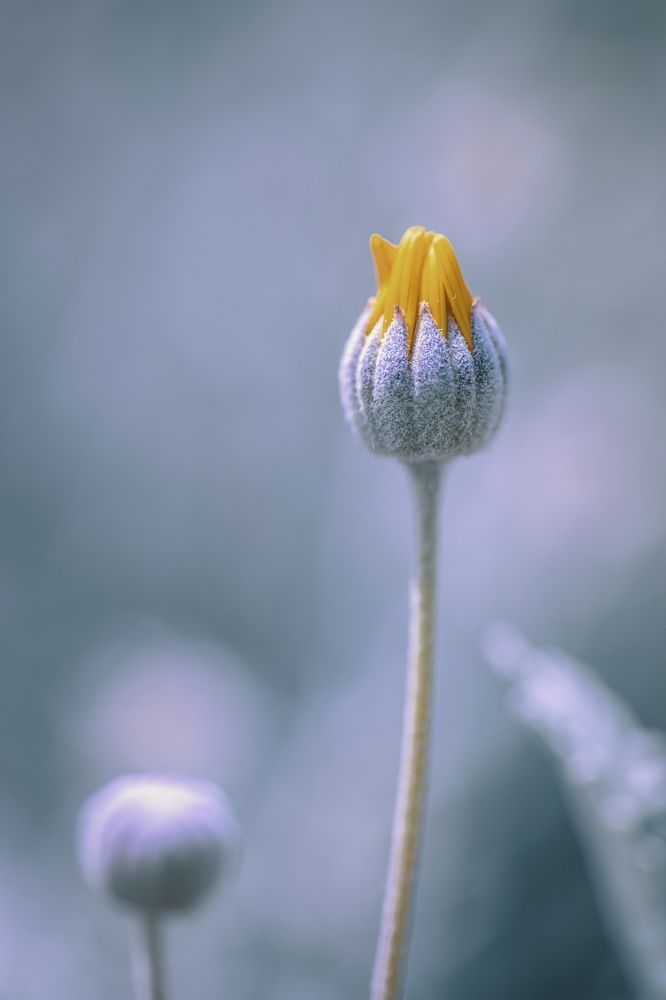 Photograph by Eugenia Righi