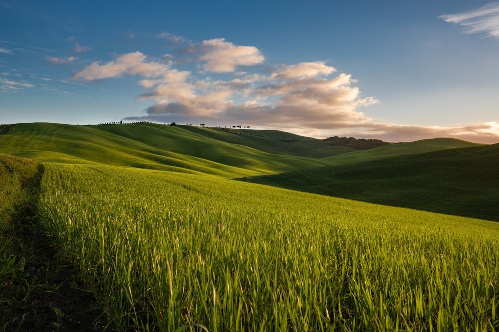 Photograph by Eugenia Righi