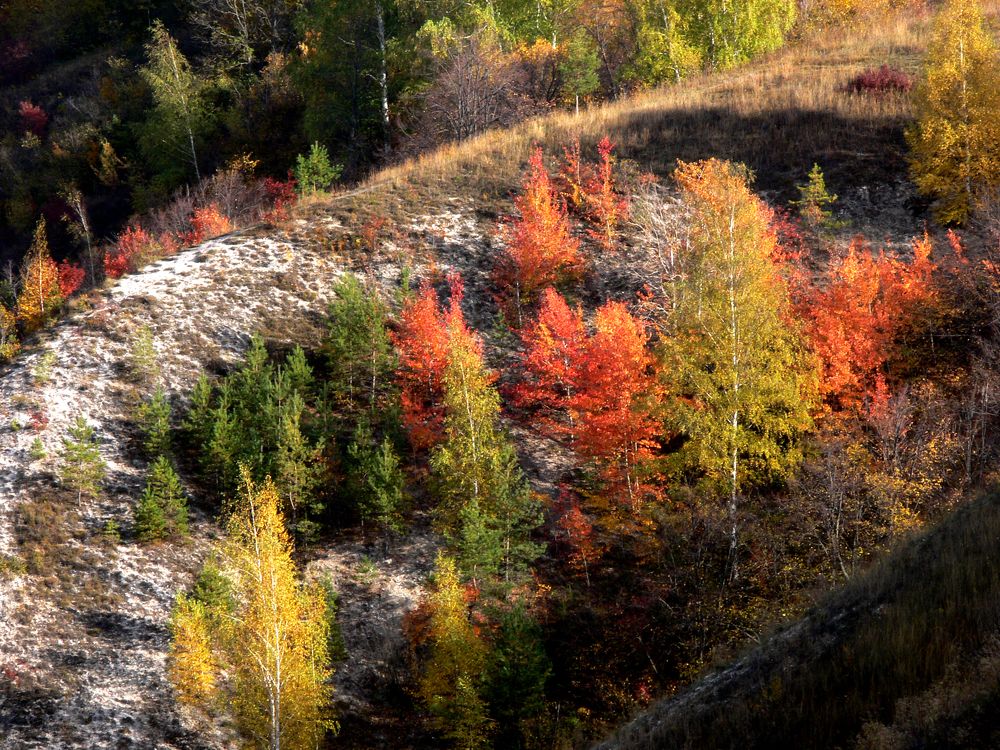 Photograph by Ольга Силакова