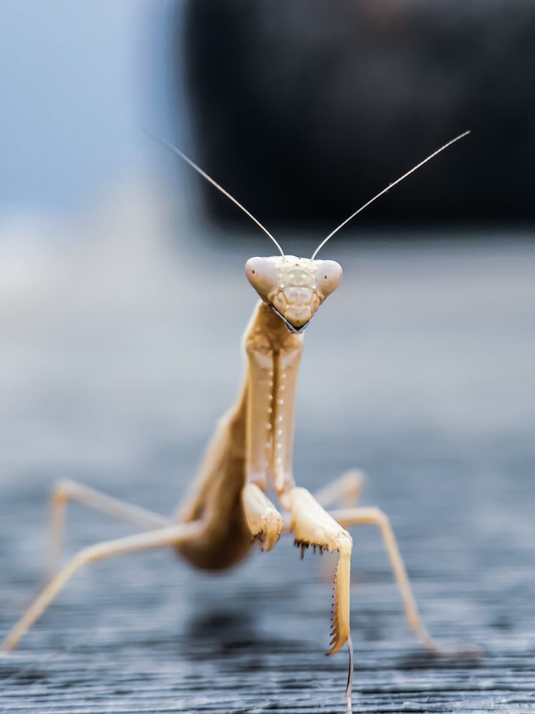 Photograph by Гонтарь Александра