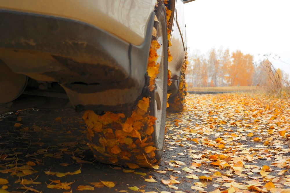 Photograph by Сергей Подгурский