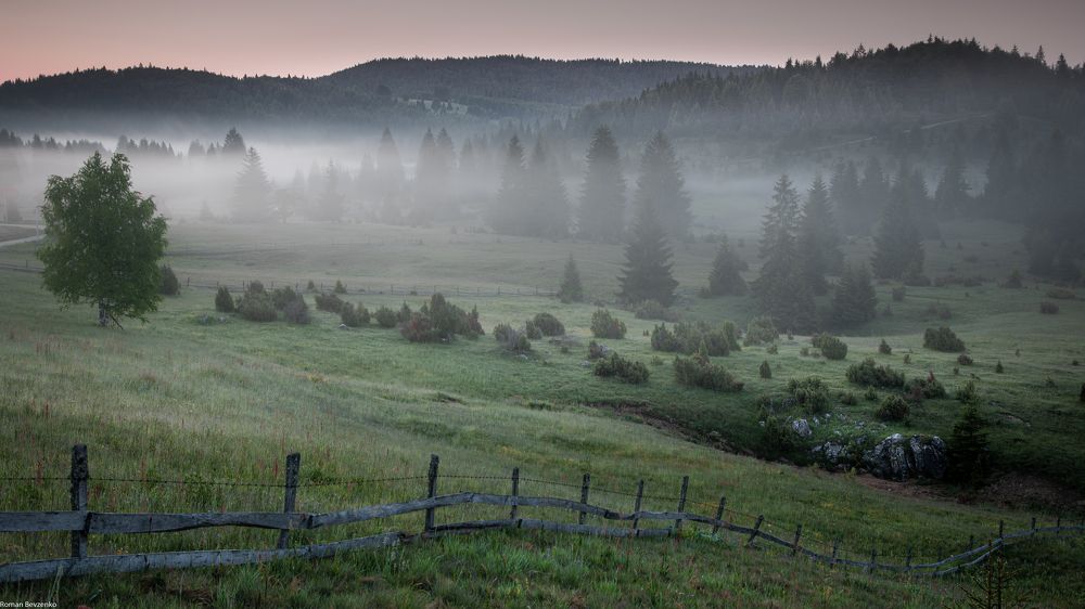 Photograph by Roman Bevzenko