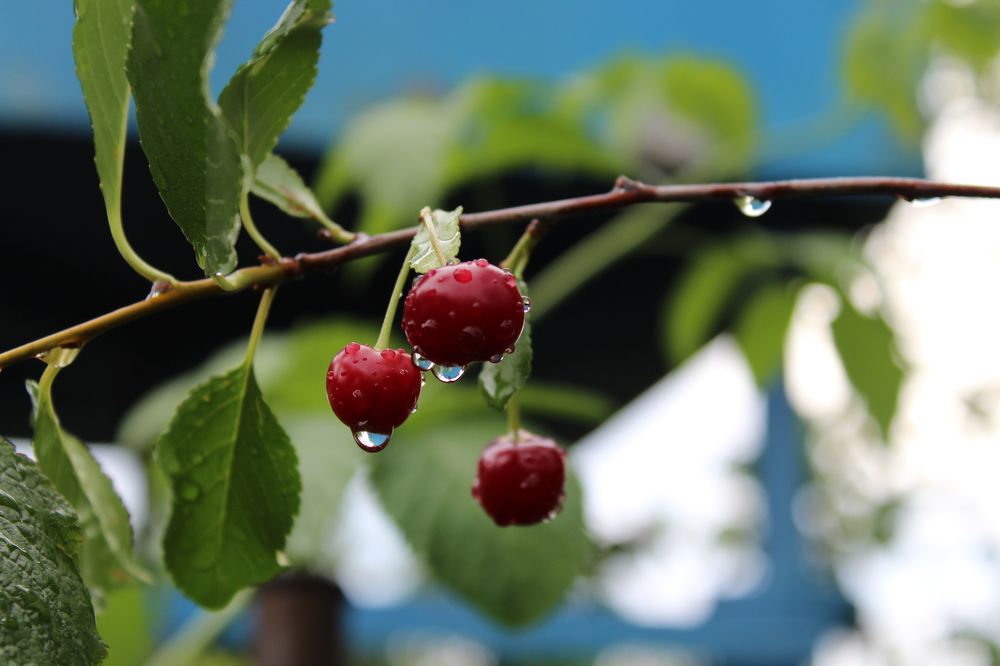 Photograph by Наталия