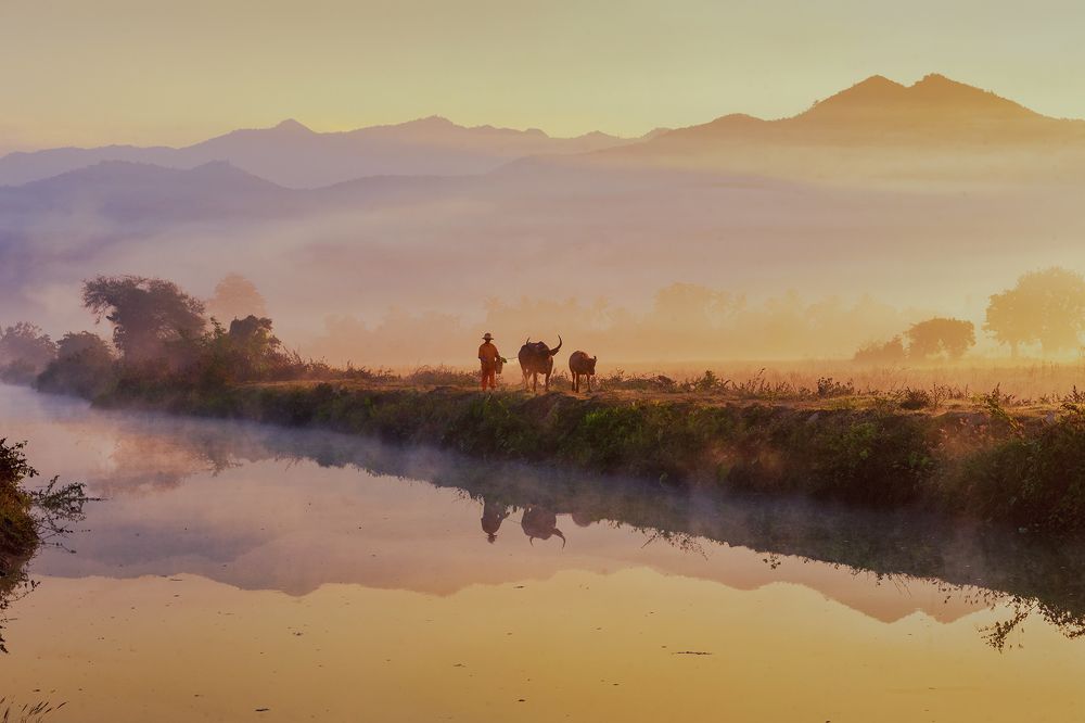 Photograph by Min Min Soe