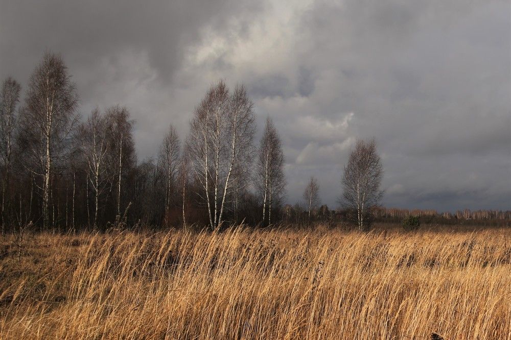 Photograph by Олеся Буланова