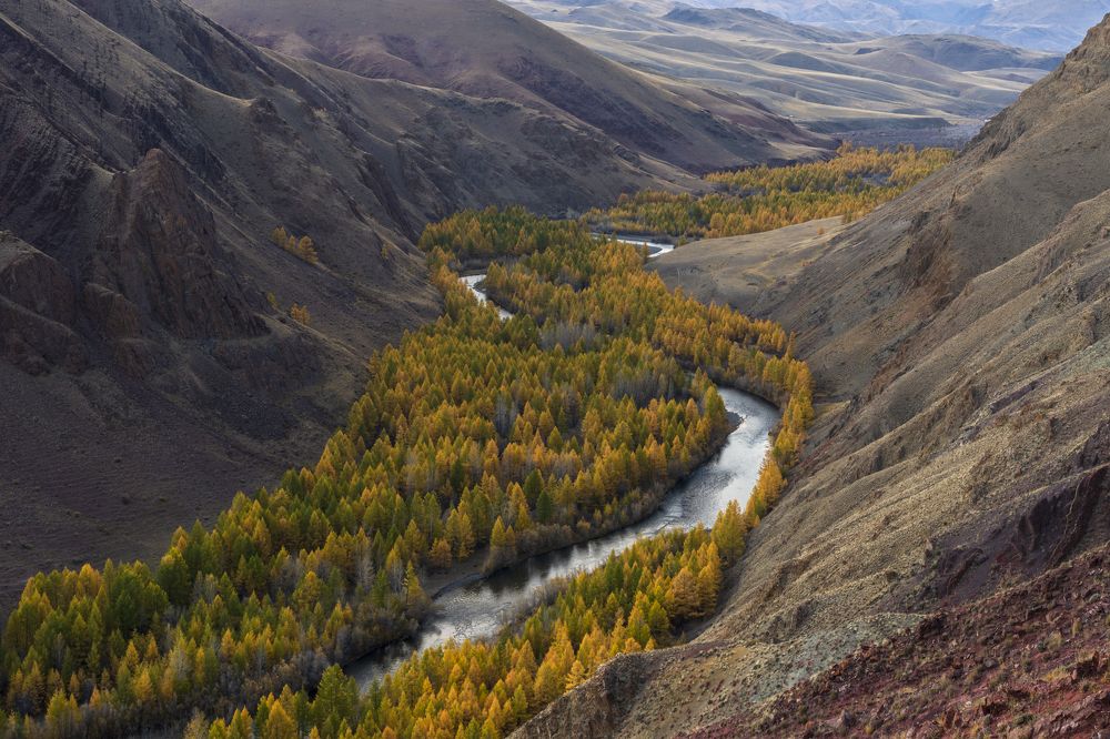 Фотография автора Олег Матроницкий