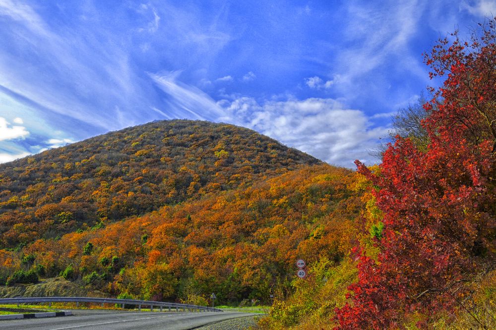 Photograph by София Гавриловна Вотякова