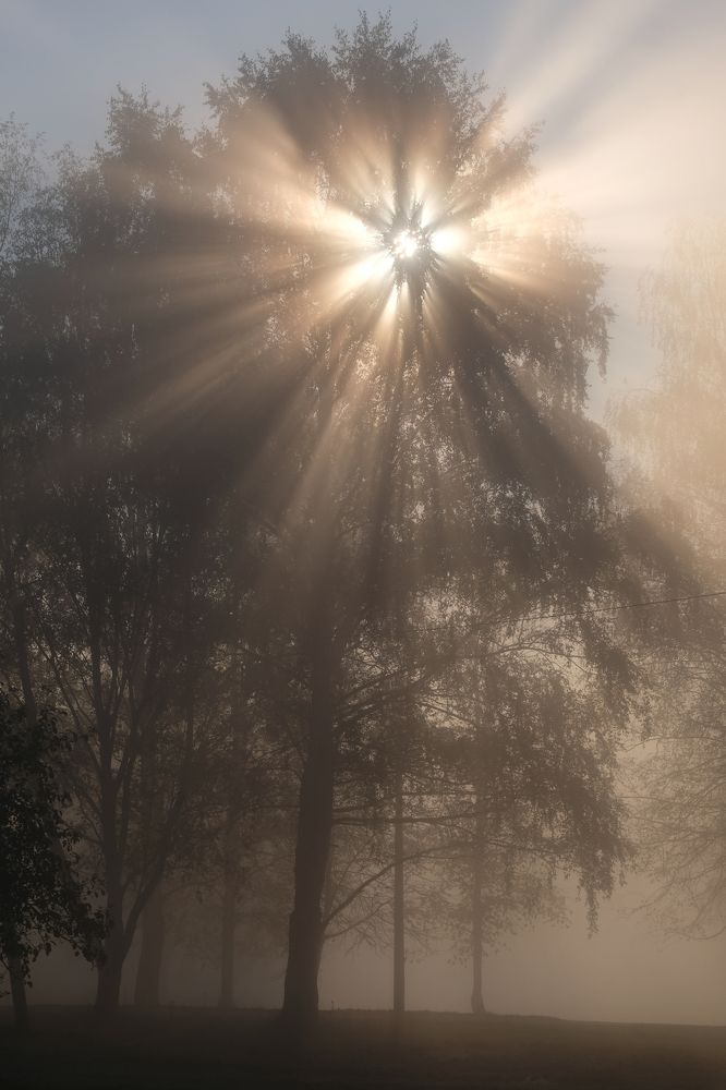 Фотография автора Александр Высоцкий
