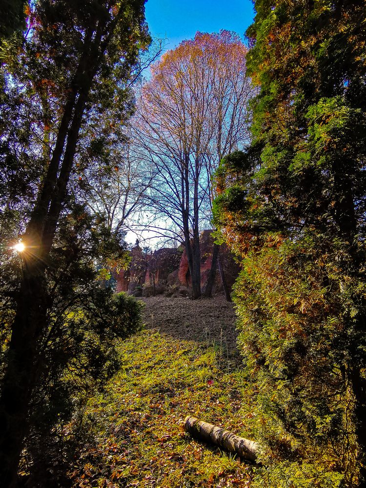 Photograph by Valentina