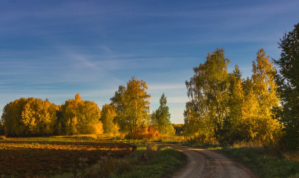 ДОРОГА В ОСЕНЬ