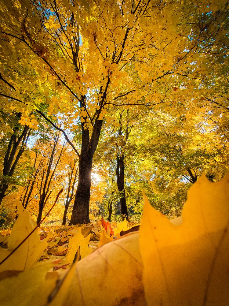 Photograph by Angelina Bukina