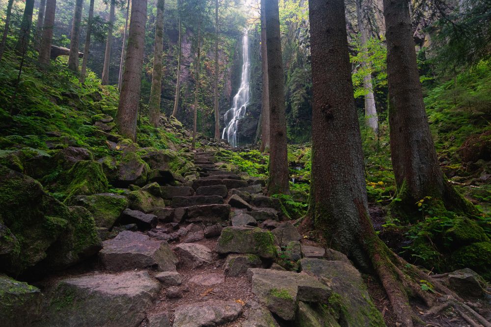 Фотография автора Laura Baratas