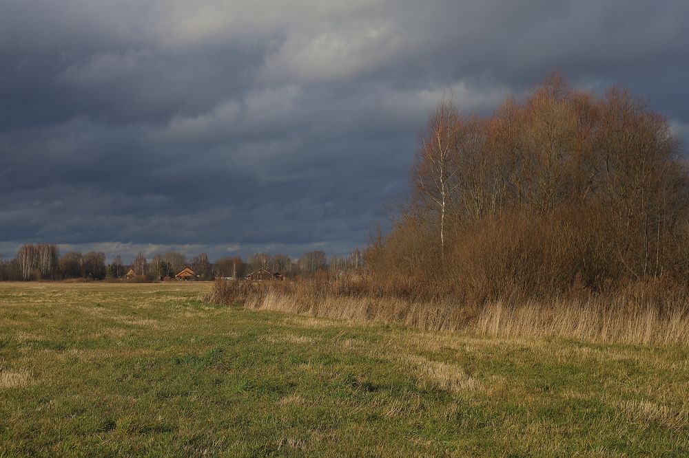 Photograph by Мария Харлашова