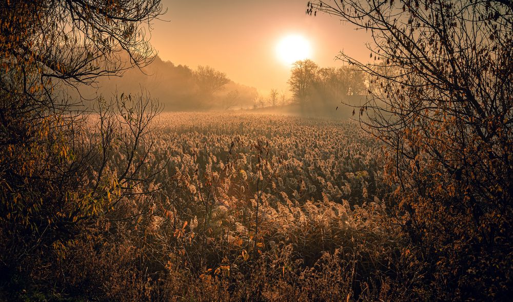 Photograph by Александр