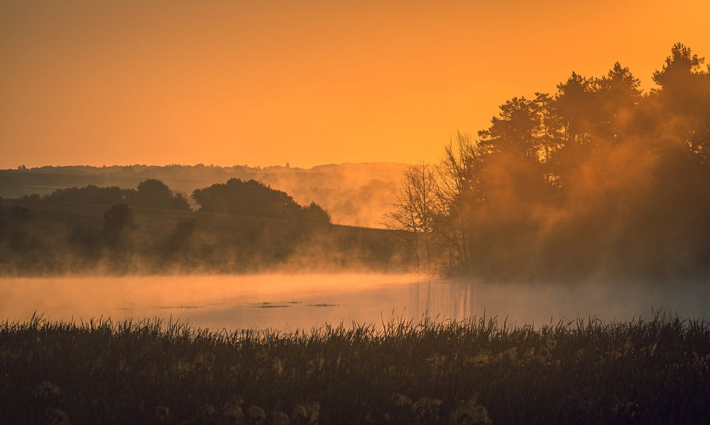 Photograph by Александр