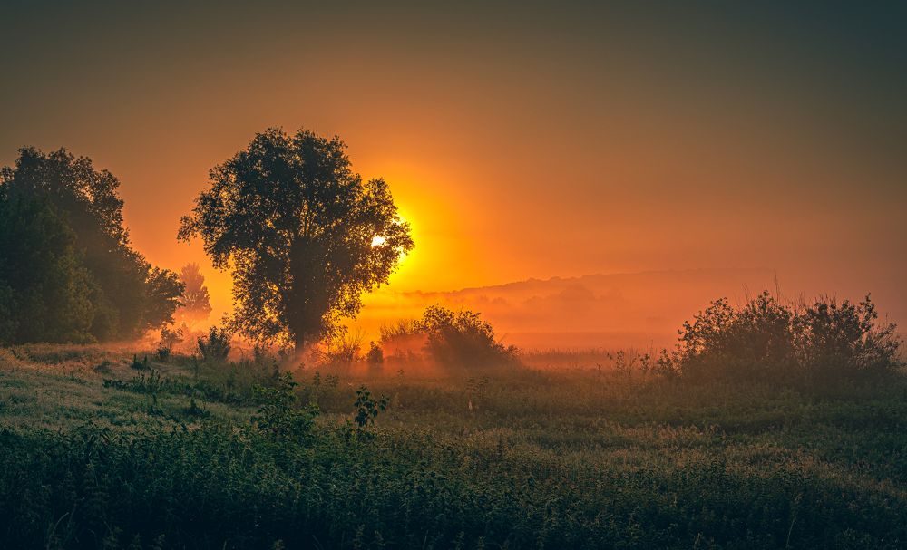 Photograph by Александр