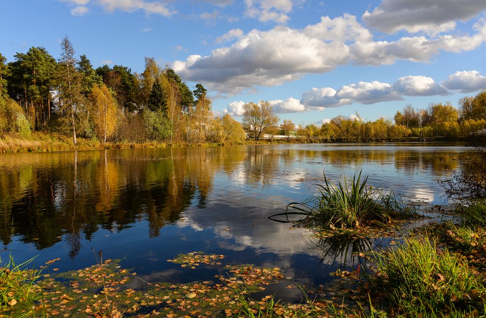 Photograph by Лариса Петрова