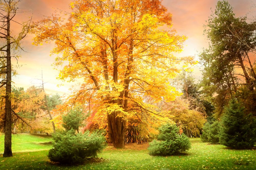 Photograph by Дарья Нартова