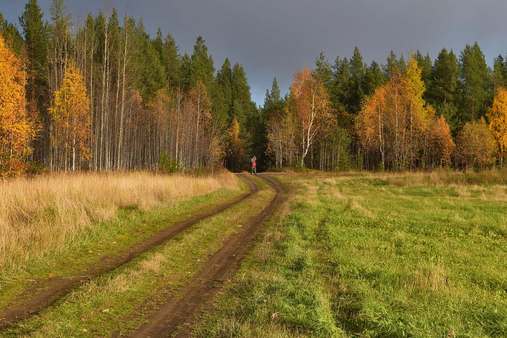 Солнечный пейзаж
