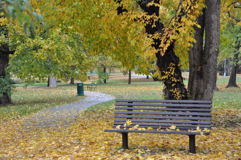 Photograph by Галина Лысых