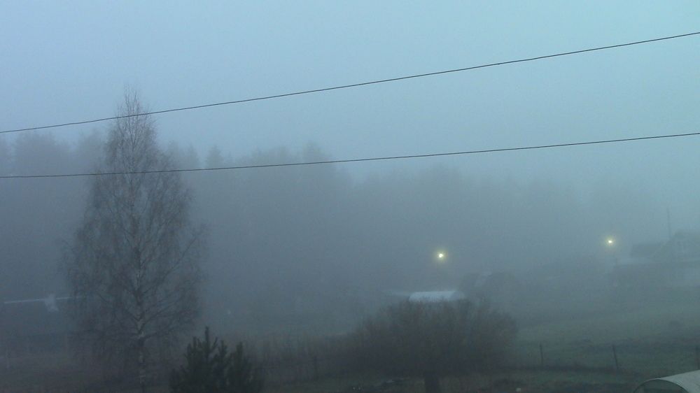 Photograph by Ирина Степановна Азаренкова