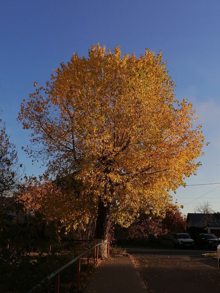 Photo #6692144