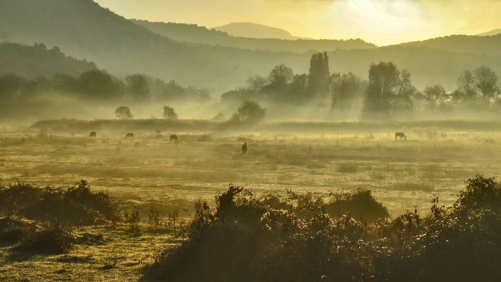 Photograph by Игорь Кузьмин