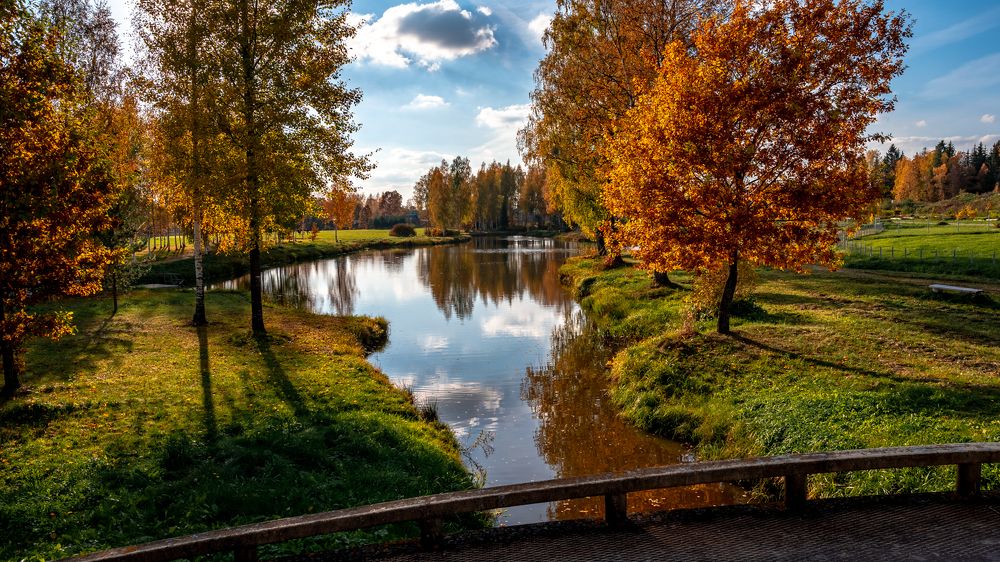 Фотография автора Андрей Васильев