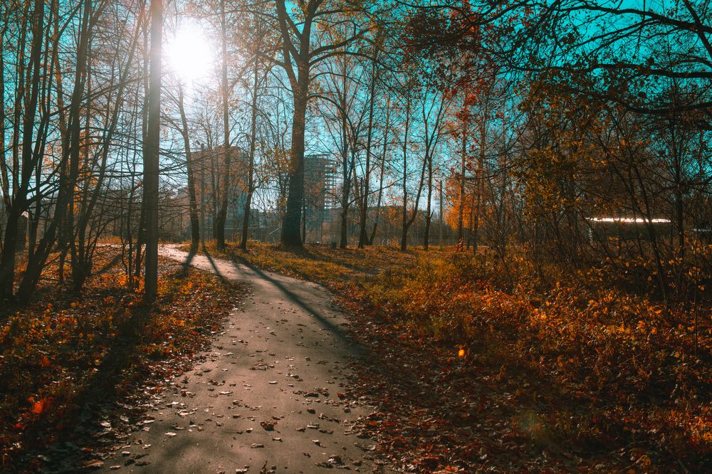 Фотография автора Алексей Григорьев