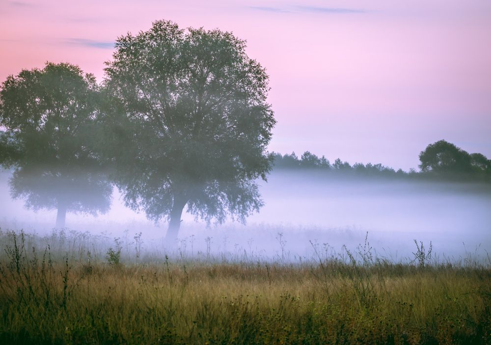 Photograph by Veronika Pershyna