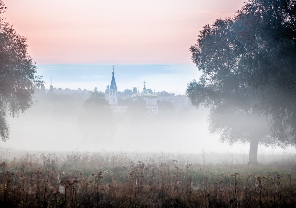 Photograph by Veronika Pershyna