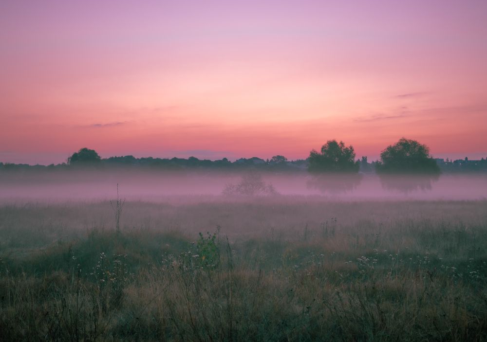 Photograph by Veronika Pershyna