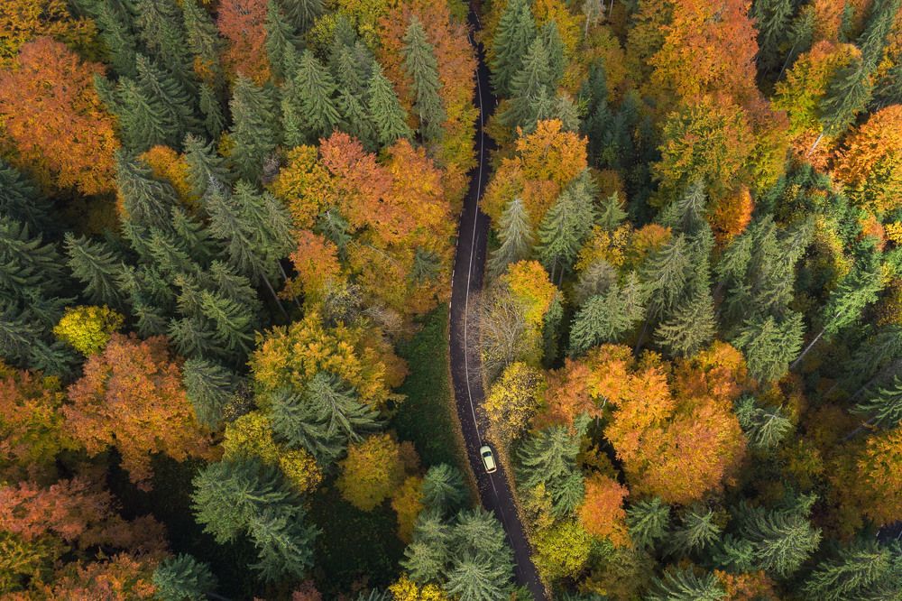 Photograph by Alex Coman