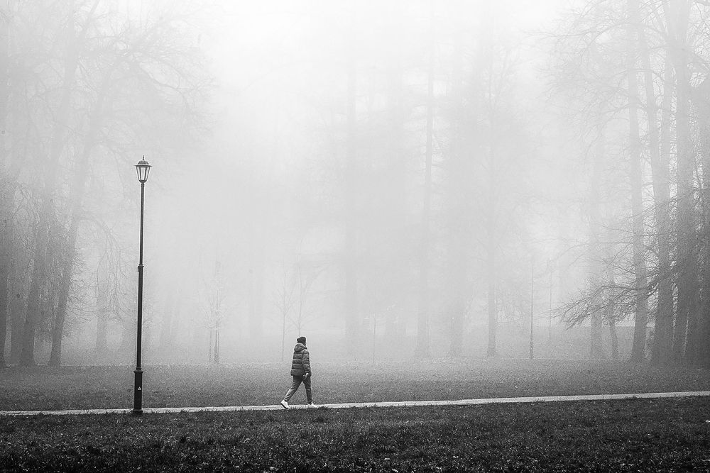 Photograph by Лариса Петрова