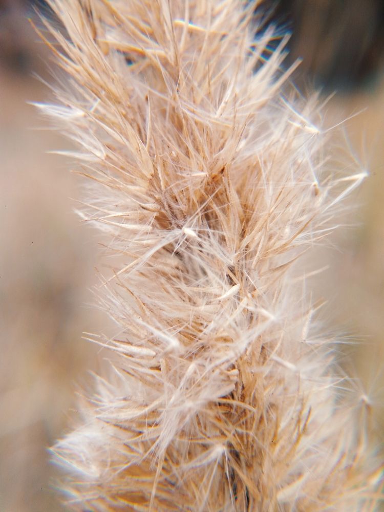Photograph by Екатерина Коршунова